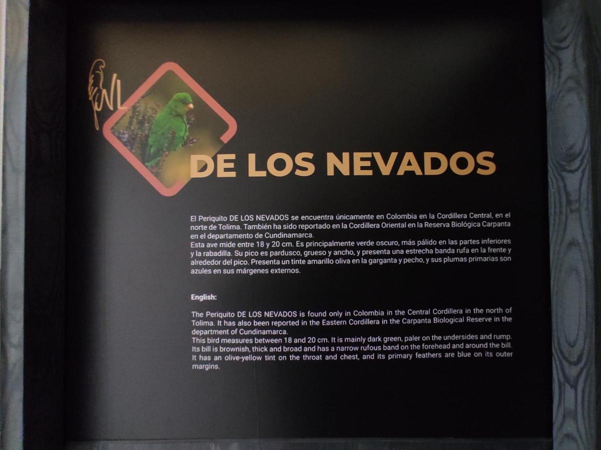 Hostel Boutique Nido De Loros Medellín Exterior foto